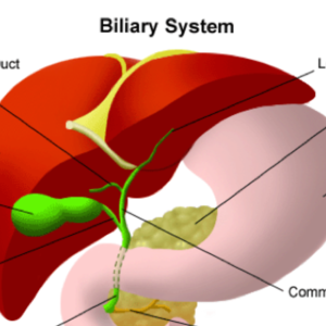 Gallbladder: A Complete GI Surgery Guide