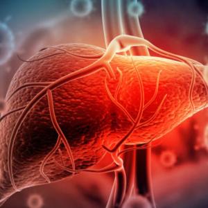 Liver: A Comprehensive GI Surgery Guide