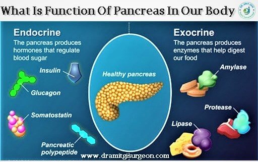 Pancreas Function