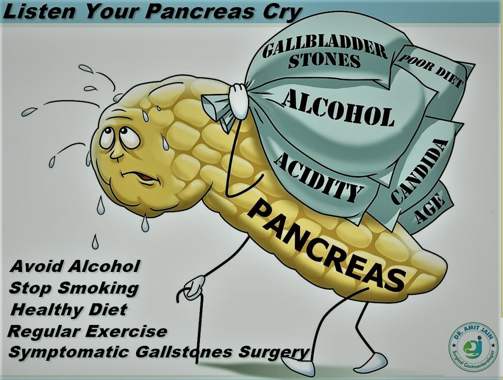 Healthy Pancreas